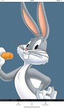BUGS BUNNY (turkish)