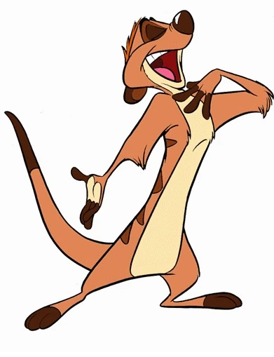 Timon