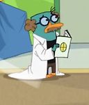 DR PERRY