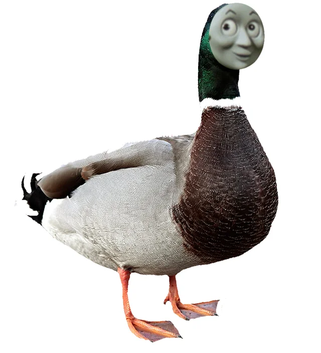 Duck the great western engine