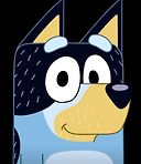 Bandit heeler