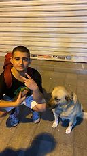 Teoman Bedel