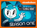 My Life as a Teenage Robot