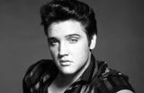 The Best Elvis Models