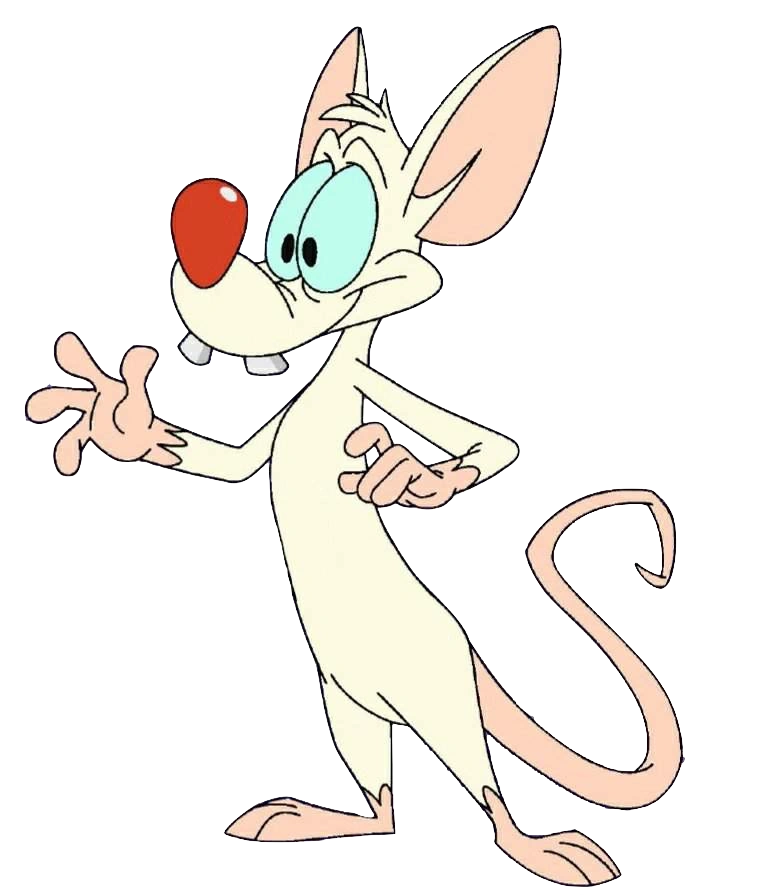 PINKY AND THE BRAIN