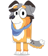 Buddy