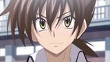 high school dxd collection