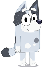 Bluey