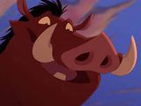 Warthog