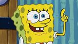 SpongeBob International