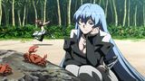 akame ga kill model collection