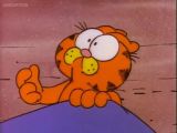 Garfield and stuff