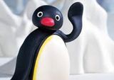 Pingu Collection