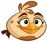 My favorite birds