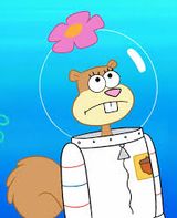 Bob Esponja