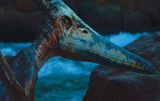 Jurassic Park III