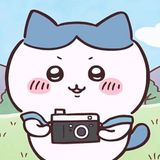 懒羊羊