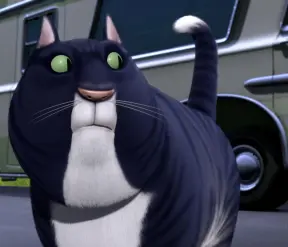 Open Season cats