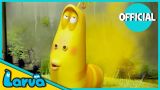 Larva (Series)