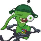 Bin Weevils