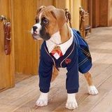 Pup Academy [Español Latino]