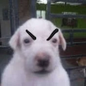 PepitoInsanito777