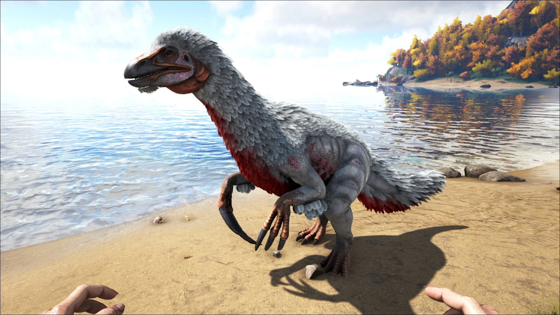 Ark