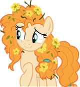My MLP FIM Models