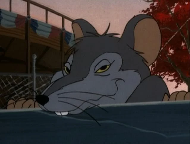 Rat