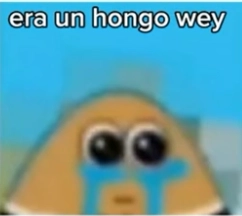 Momazos / Memes