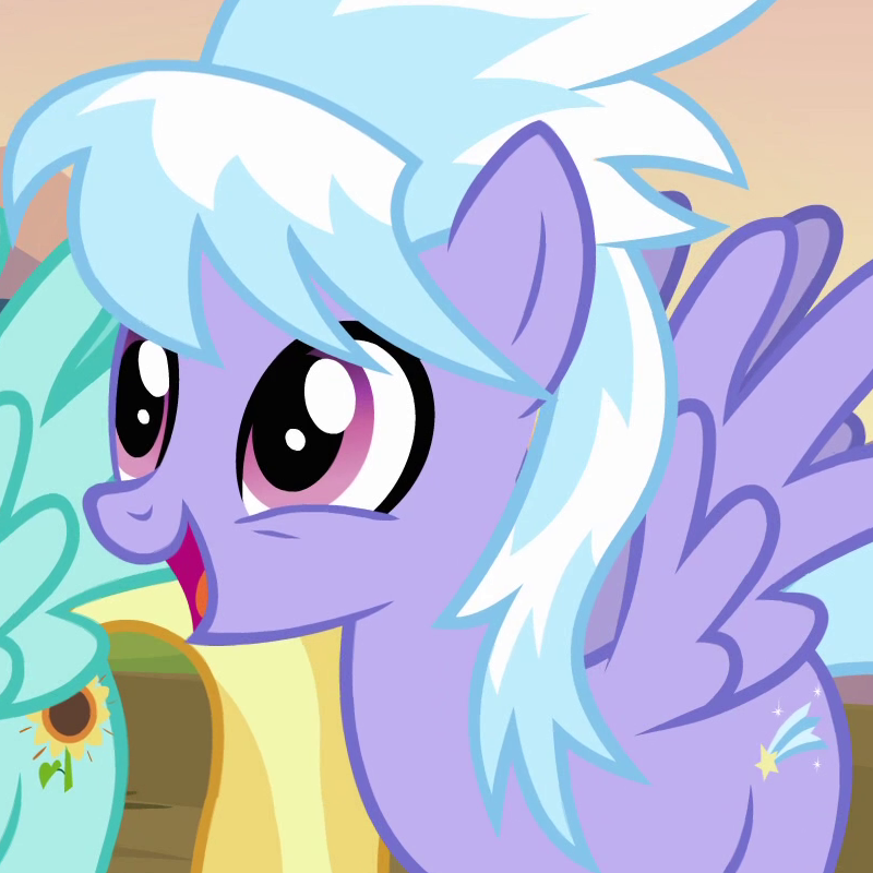 Wonderbolt Reservists 