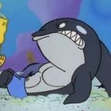 SpongeBob SquarePants