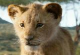 The Lion King 2019 Collection