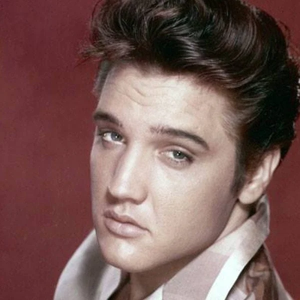 The Best Elvis Models