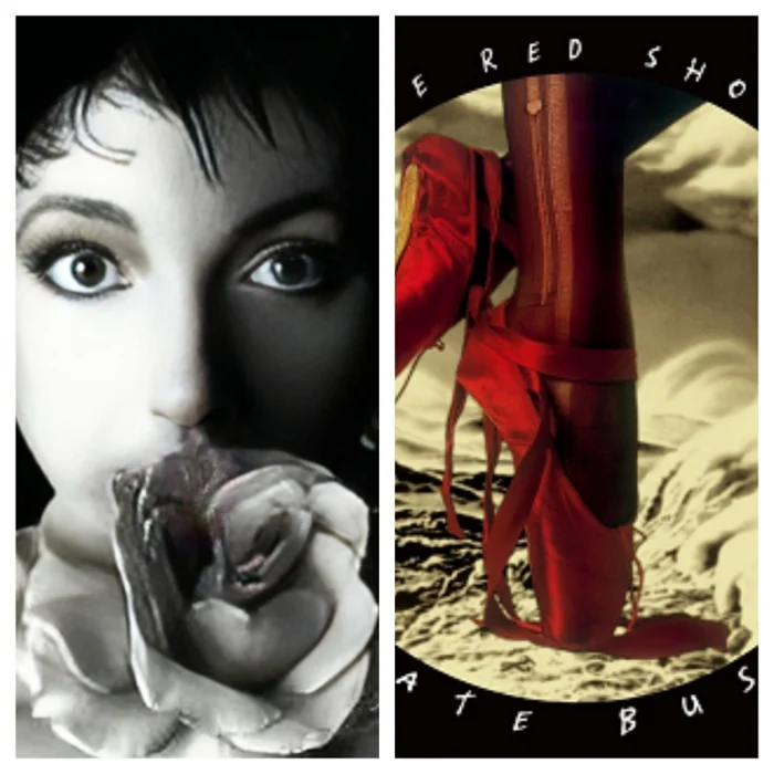 Dual Albums