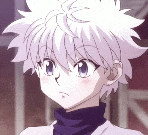 Hunter X Hunter