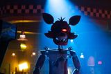 Freddy Pachoncito 