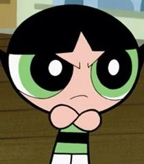 The Powerpuff Girls