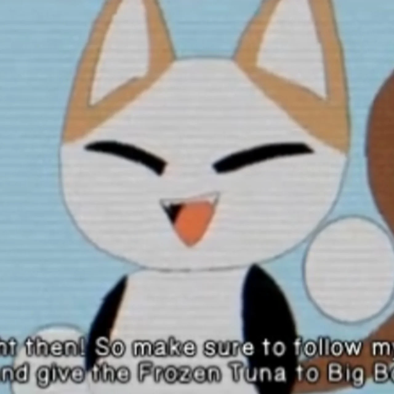 Catto boi