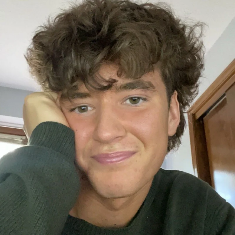 Instagram voice models