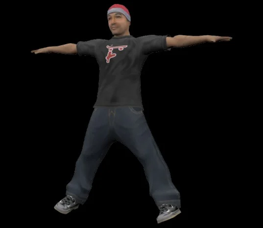 Tony Hawk Series