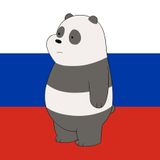 Вся правда о медведях