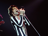 freddie mercury