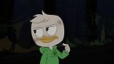 Ducks 