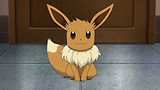 Pokémon Characters