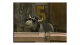 Sesame Street