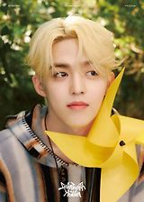 Seventeen Members