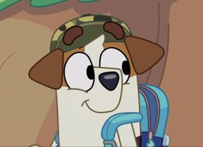 Jack Russell - (Bluey)