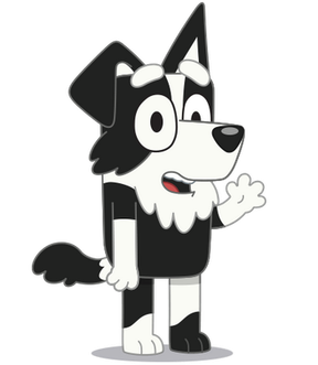 MacKenzie Border Collie (Bluey)