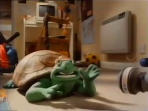 Singing Persian Turtle